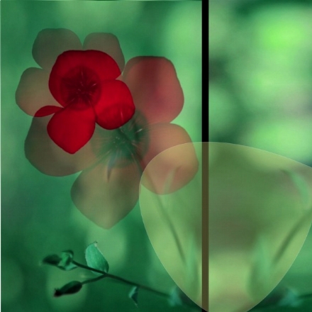 Tutti i colori del verde