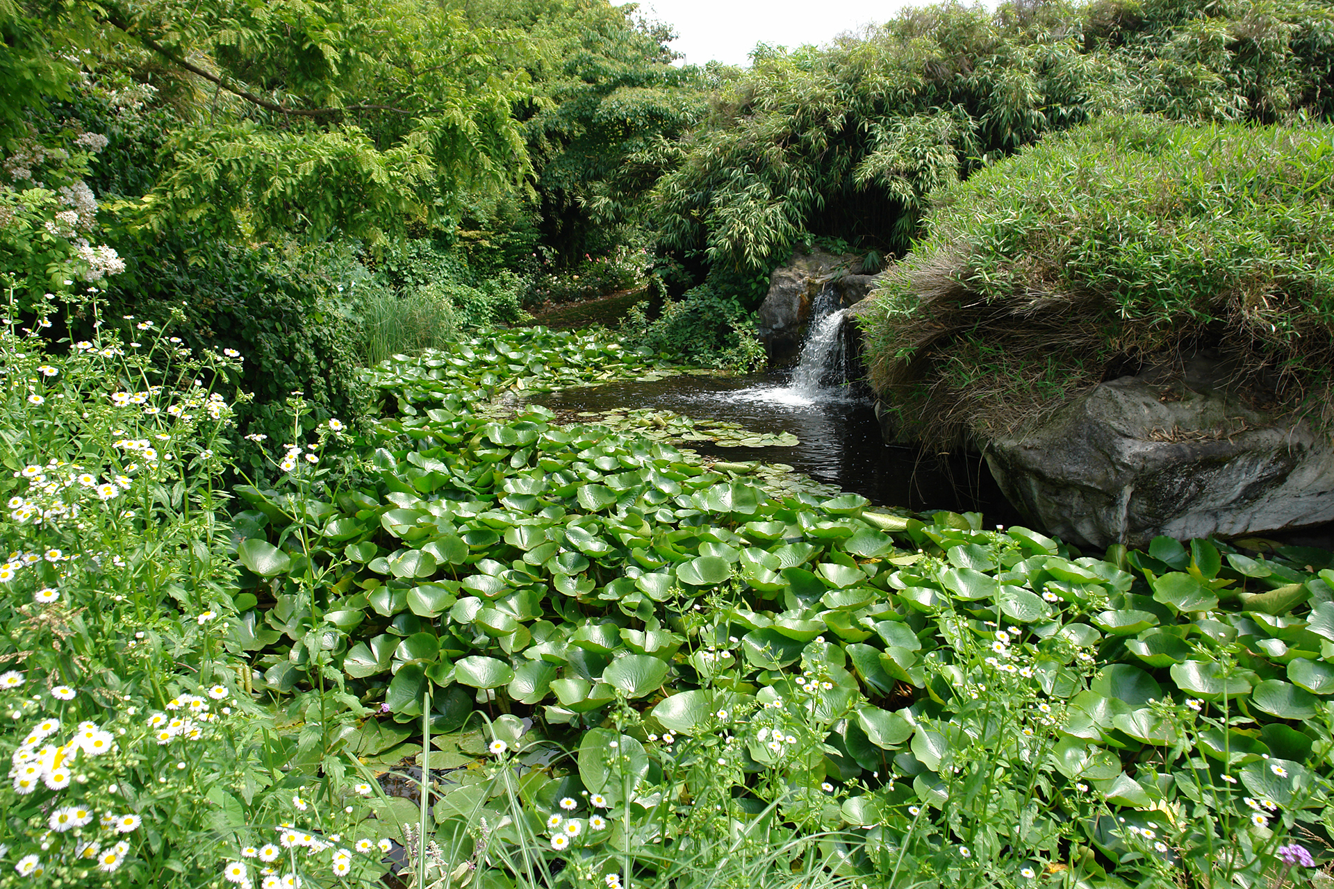 Giardino Gaudente - 