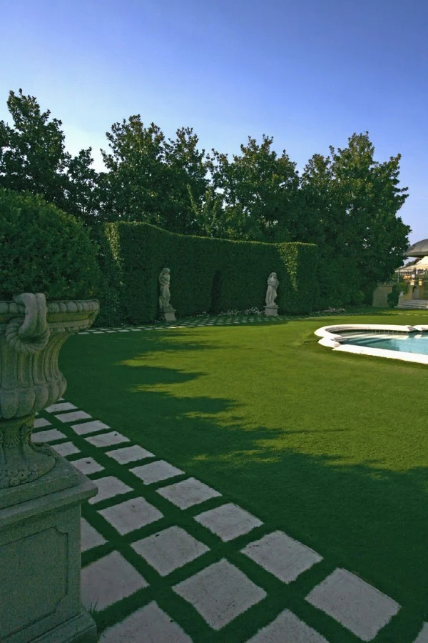 Pool or Decorative Basin?