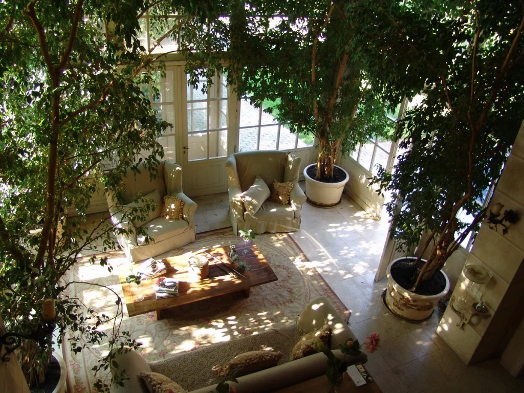 Inside Outside Garden