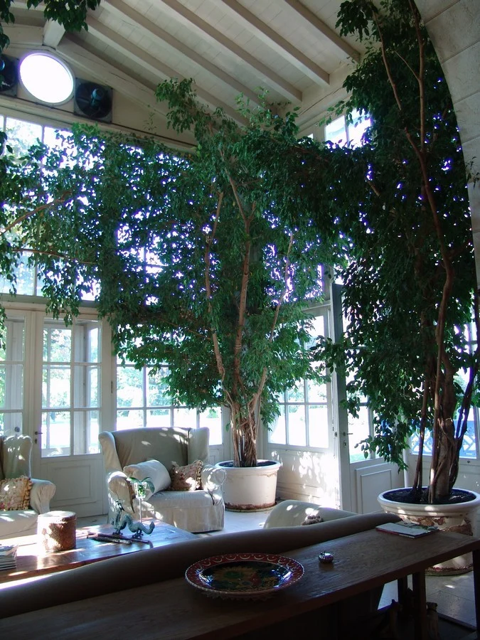 Inside Outside Garden