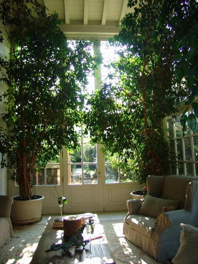 Inside Outside Garden