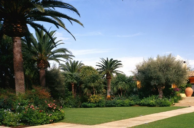 Color di Sicilia