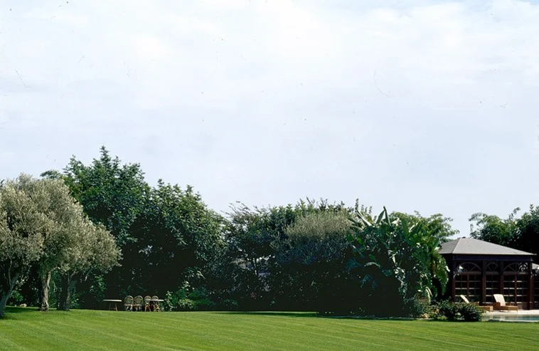 Color di Sicilia