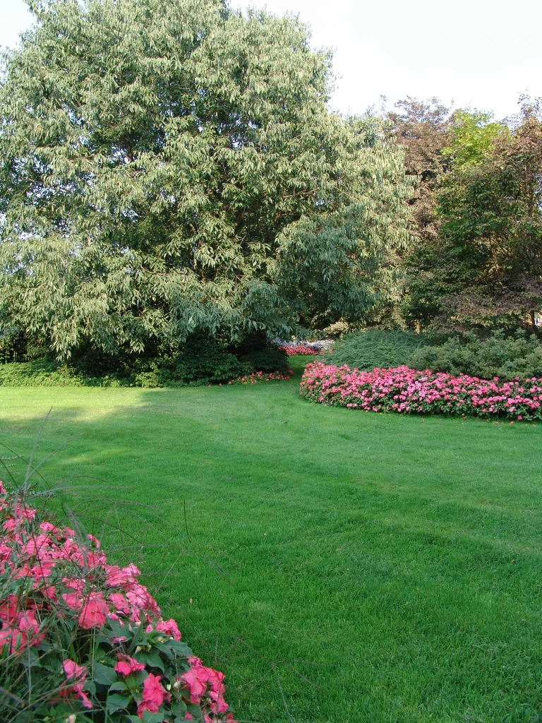 حديقة ريفية
