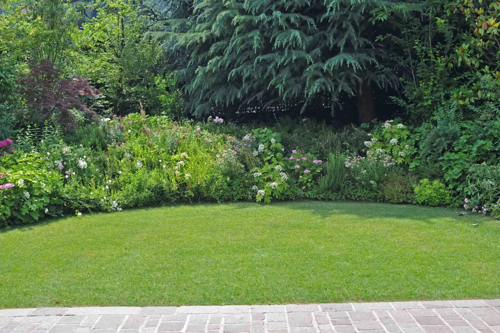 Details of a Small Garden