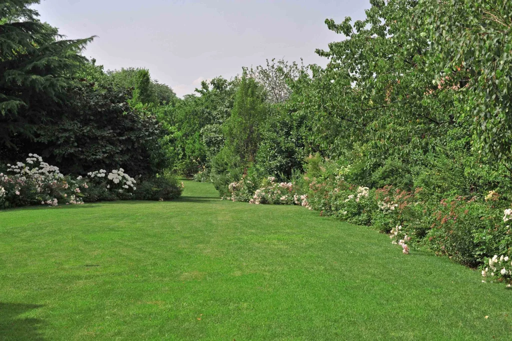 Details of a Small Garden