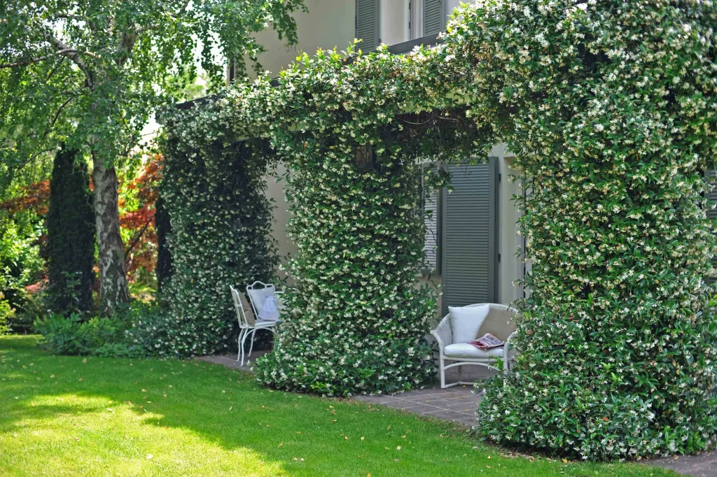 Details of a Small Garden