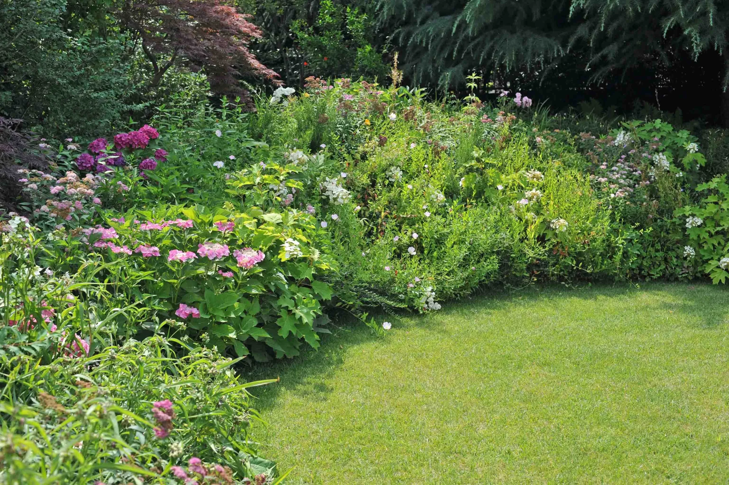 Dettagli di un piccolo giardino