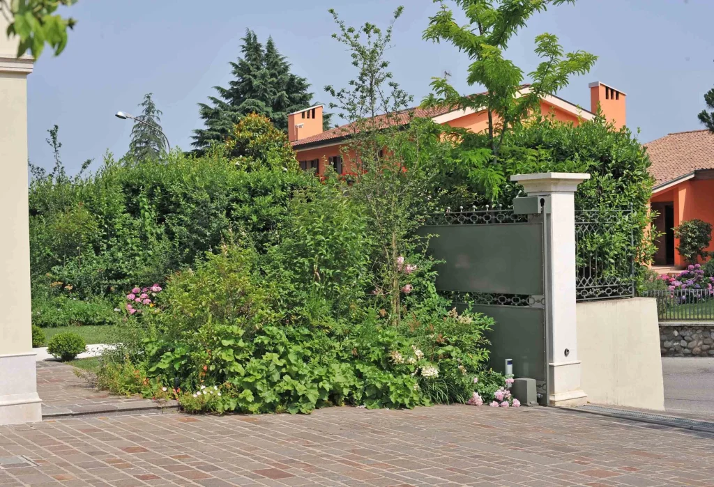 Details of a Small Garden
