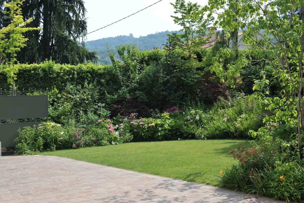 Details of a Small Garden