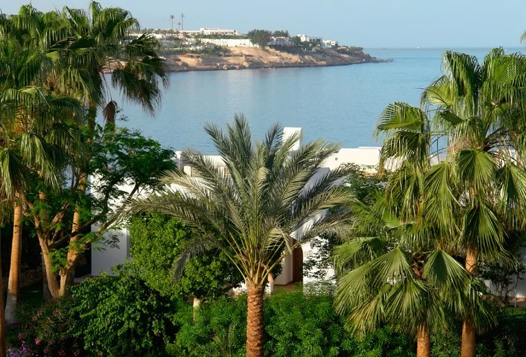 Domina Coral Bay – Sharm El Sheikh, Egitto