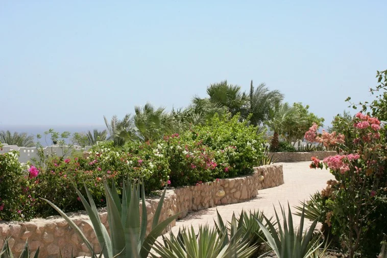 Domina Coral Bay – Sharm El Sheikh, Egitto