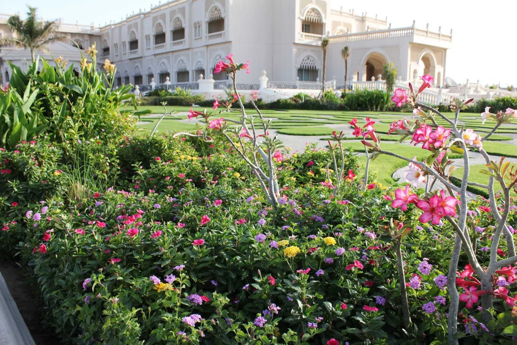 Palazzo Reale – Qatar
