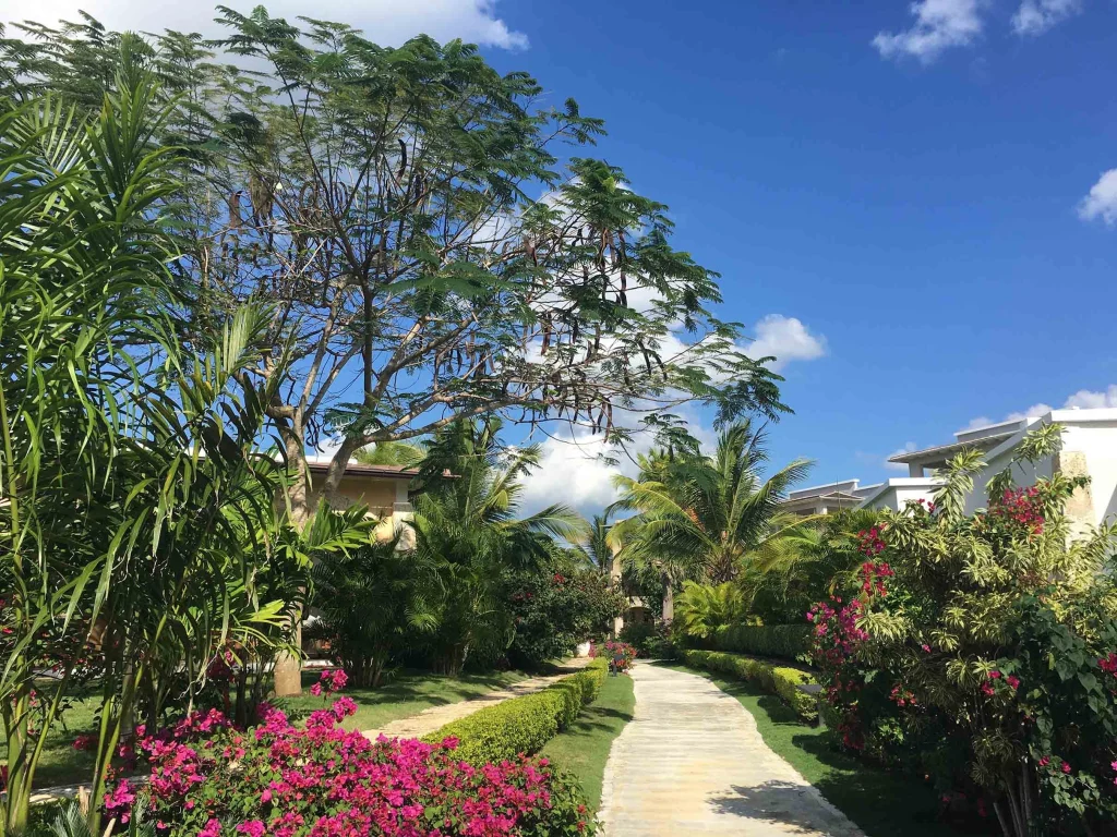 Tracadero, reflection of paradise
