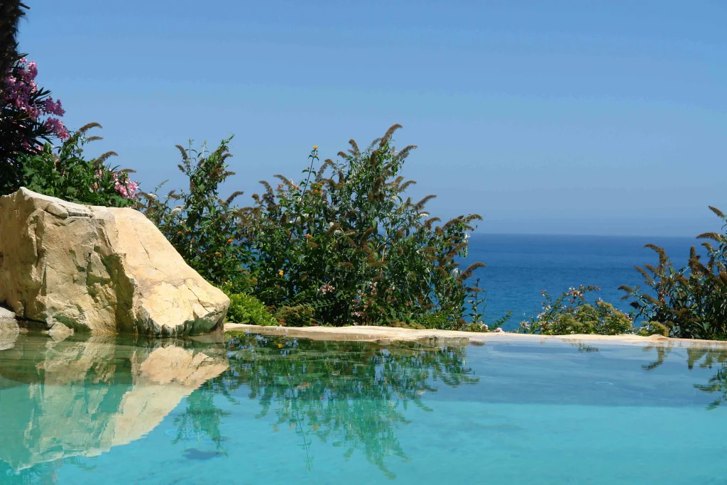 A Pool Blending into Nature