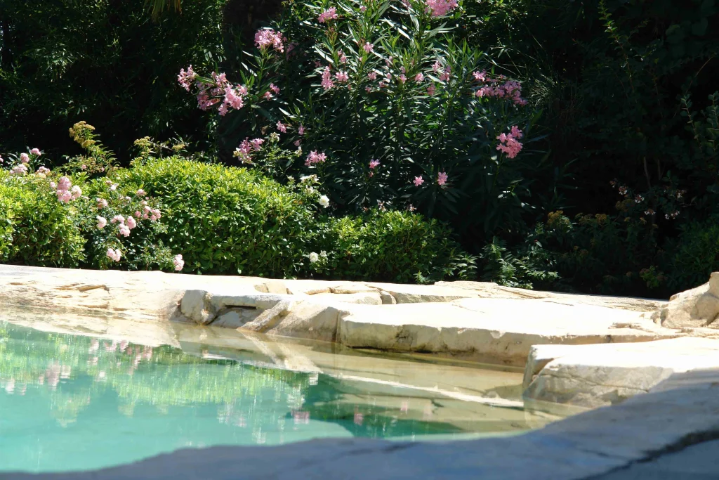 A Pool Blending into Nature