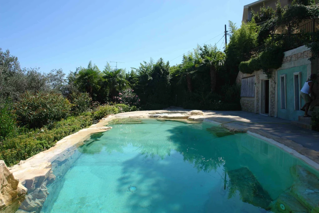A Pool Blending into Nature