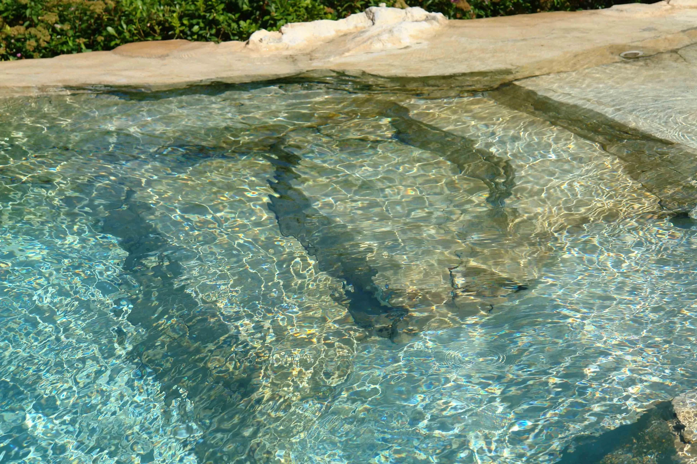 Una piscina che si fonde alla natura
