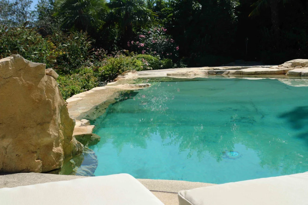 A Pool Blending into Nature