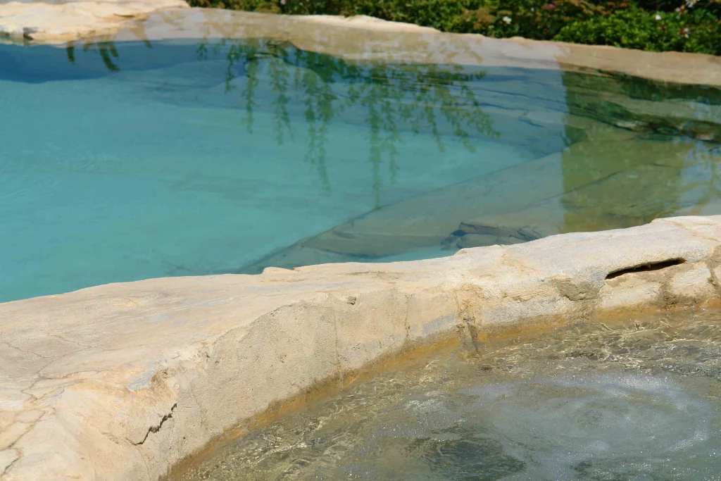 A Pool Blending into Nature
