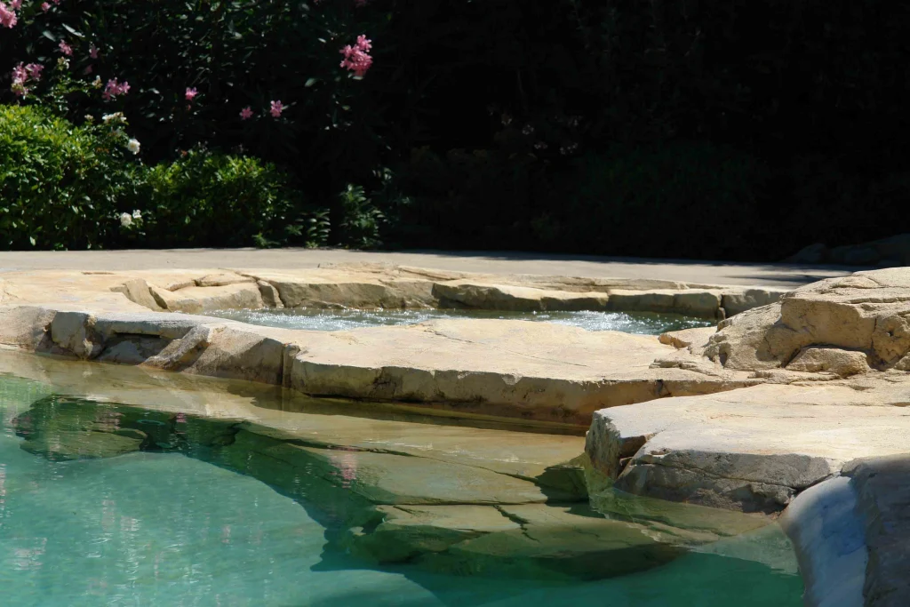 A Pool Blending into Nature