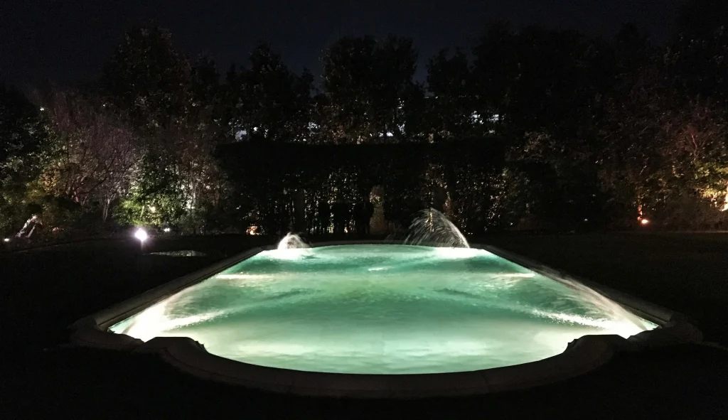 Pool or Decorative Basin?