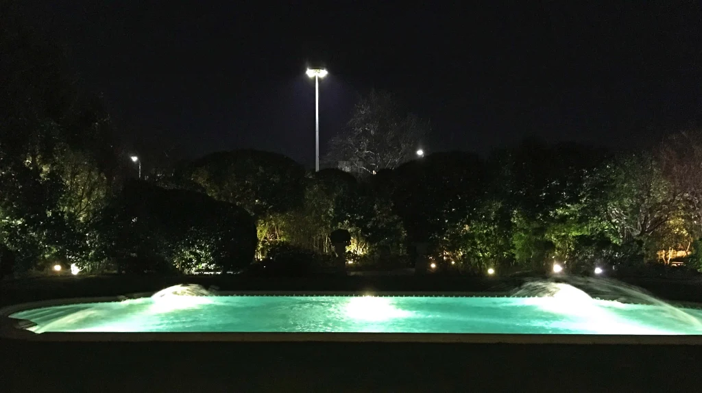 Pool or Decorative Basin?