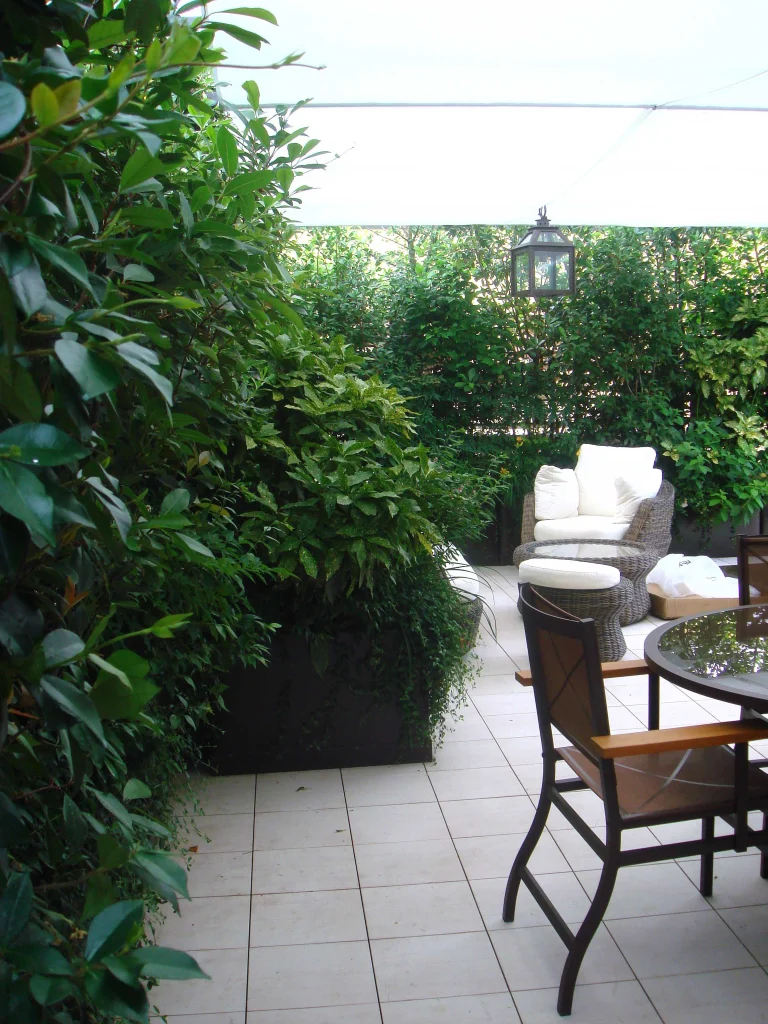 Verde relax