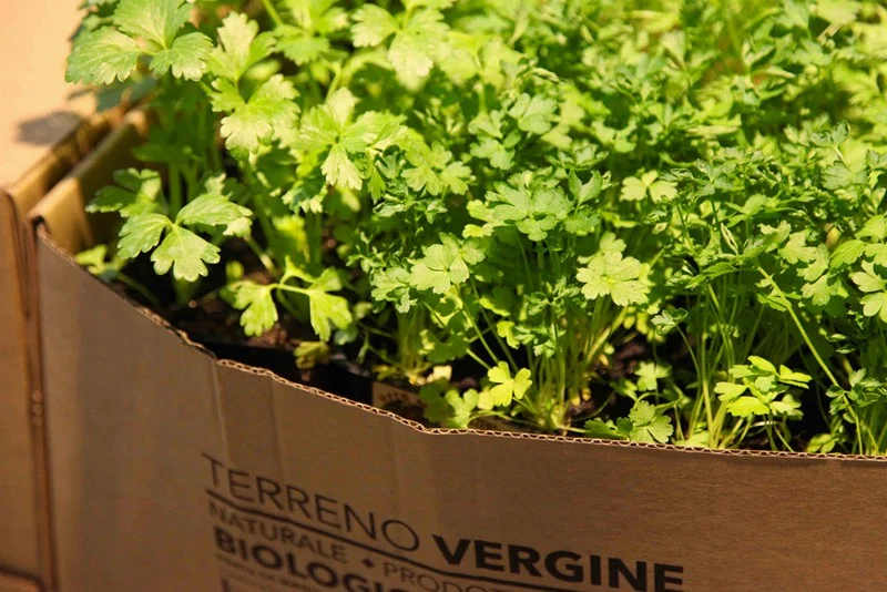 Paghera at MyPlant & Garden Milan