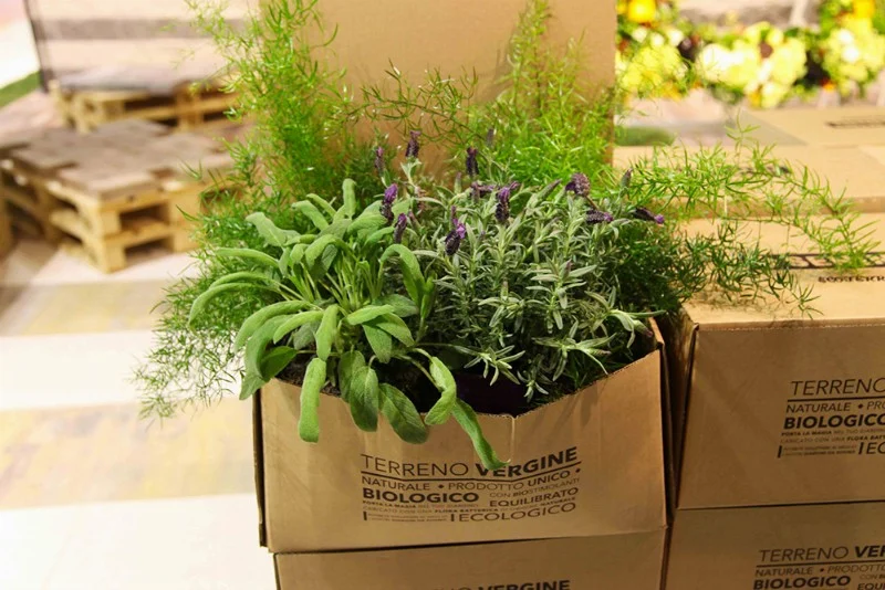 Paghera at MyPlant & Garden Milan