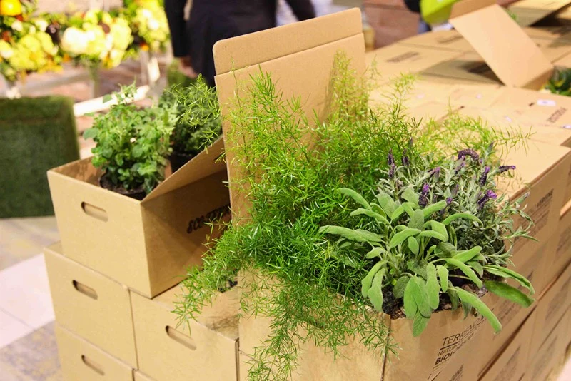 Paghera at MyPlant & Garden Milan