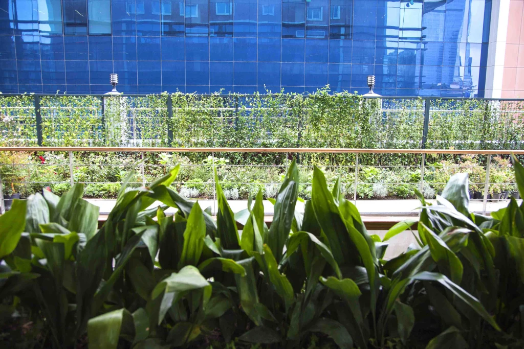 Sekerbank, Istanbul – Sede Direzionale e Giardini