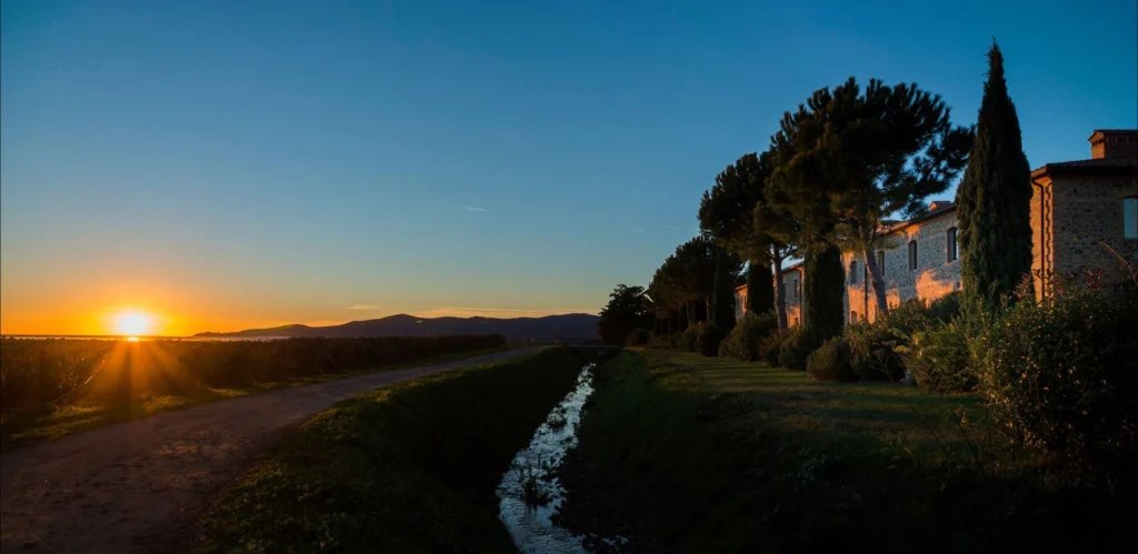 L�Andana, Tenuta la Badiola, Castiglione della Pescaia