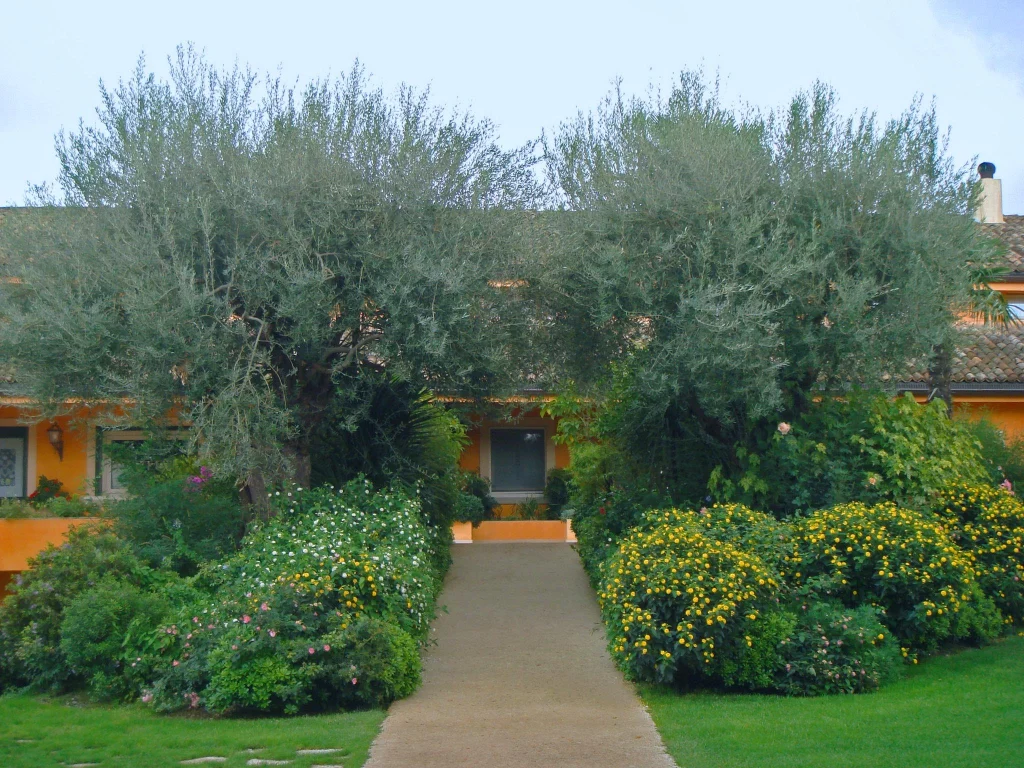 Color di Sicilia