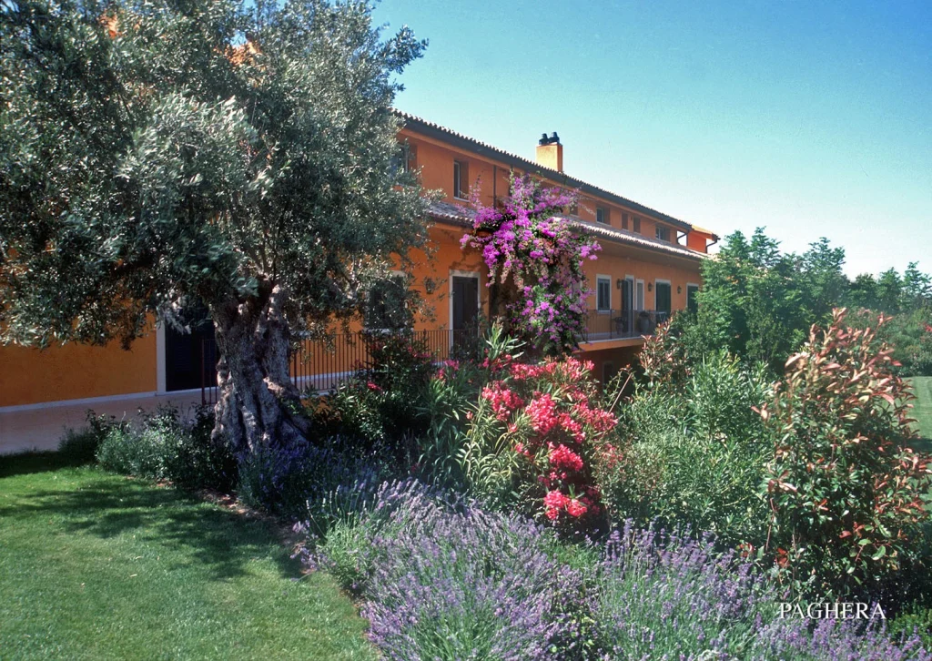 Color di Sicilia