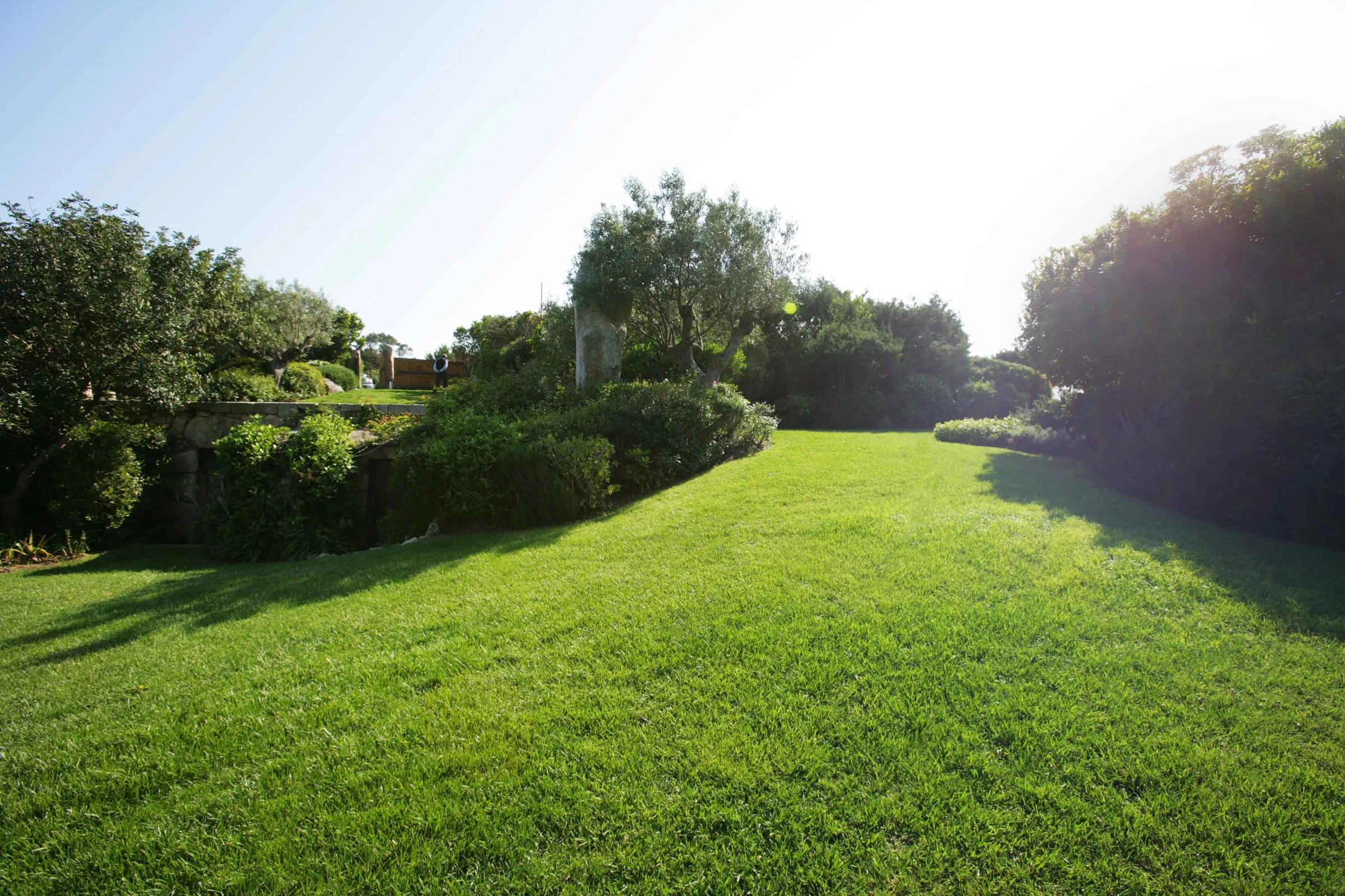 Uno splendido giardino in Sardegna