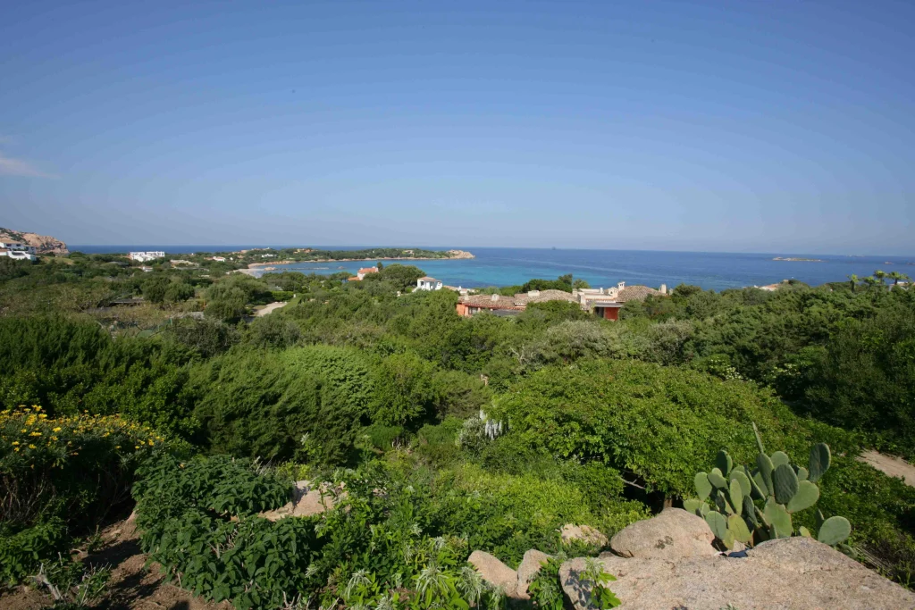 Uno splendido giardino in Sardegna