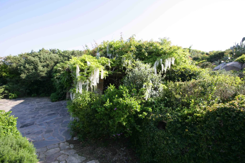 Uno splendido giardino in Sardegna