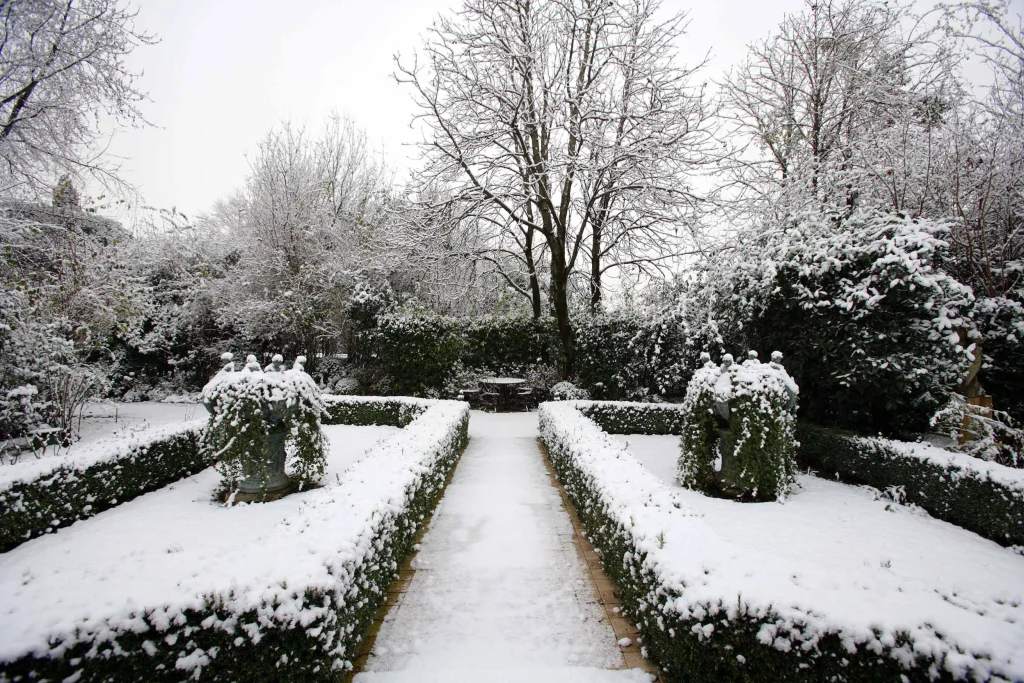 Charming Lodge