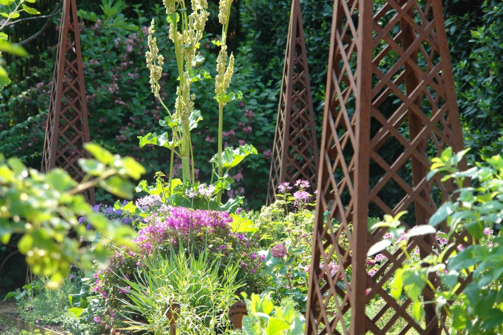 Orto giardino