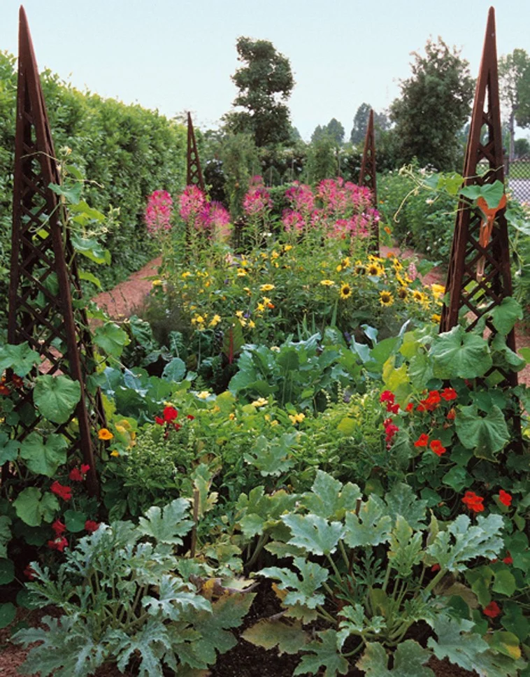 Orto giardino