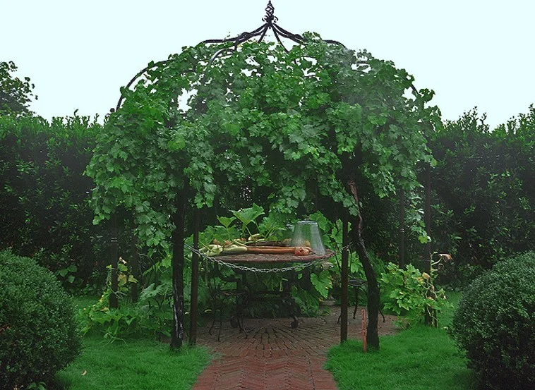 Orto giardino