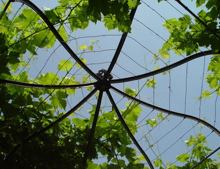 Orto giardino
