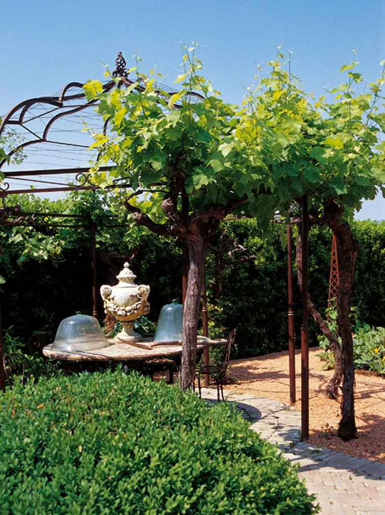Orto giardino