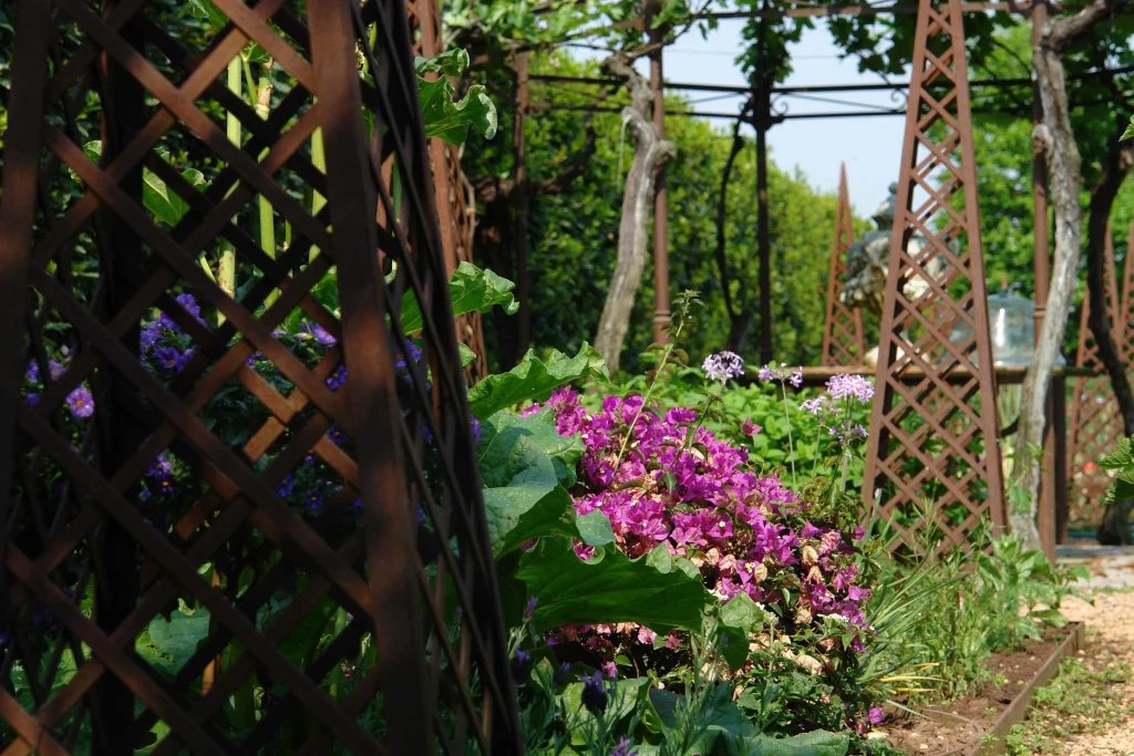 Orto giardino