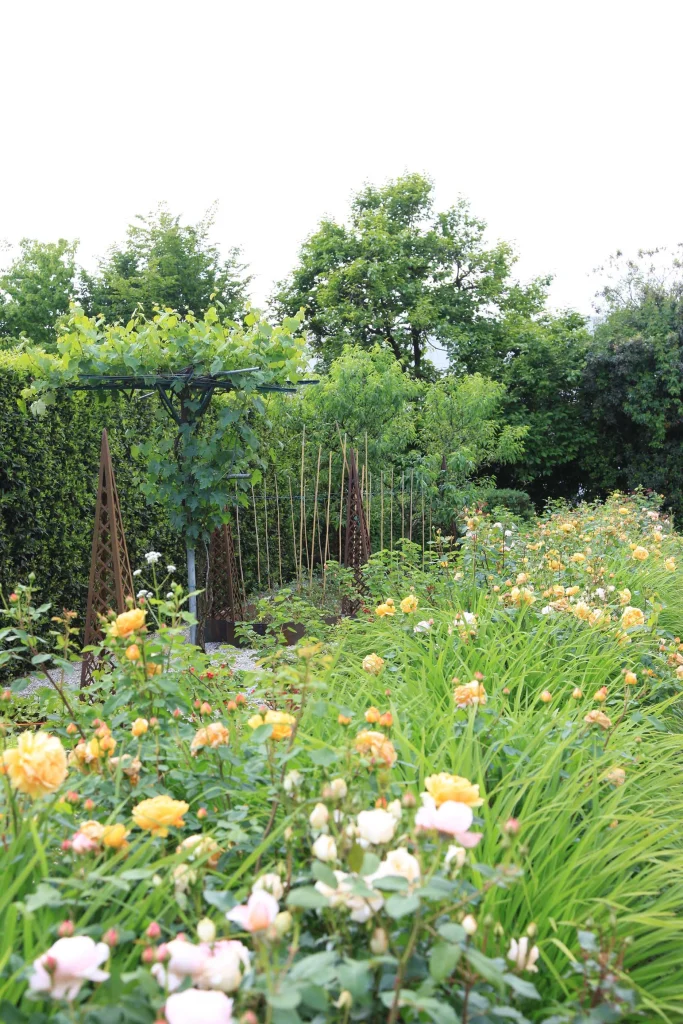 Orto giardino