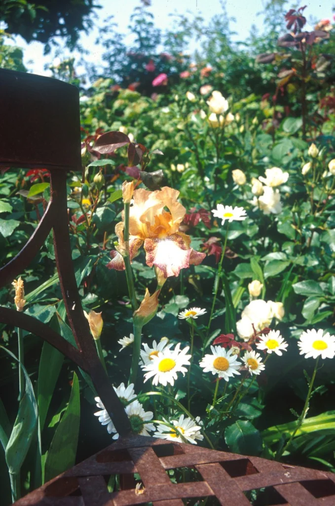 Orto giardino