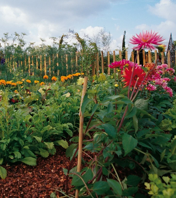 Orto giardino