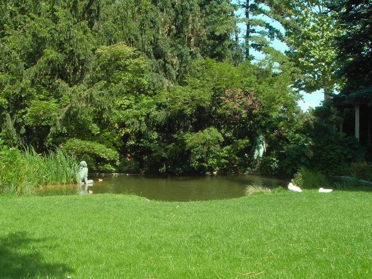 Lotus Garden